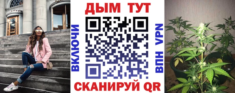 Магазин наркотиков Почеп Псилоцибиновые грибы  КОКАИН  Гашиш  МЕФ  Бошки Шишки 