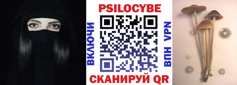 сколько стоит  Почеп  Галлюциногенные грибы Cubensis 